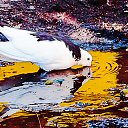 02/07/2015
������������ ���� �� ������� ���� ������