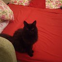 ���� ������, ������, 48 ��� - ��������� 12 ������� 2015 � ������ ���� ����������