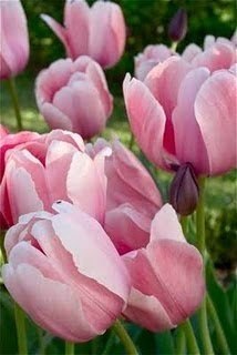 Позитивный человек, это тот, кого послали куда подальше, а он вернулся отдохнувший и с магнитиками. - 2