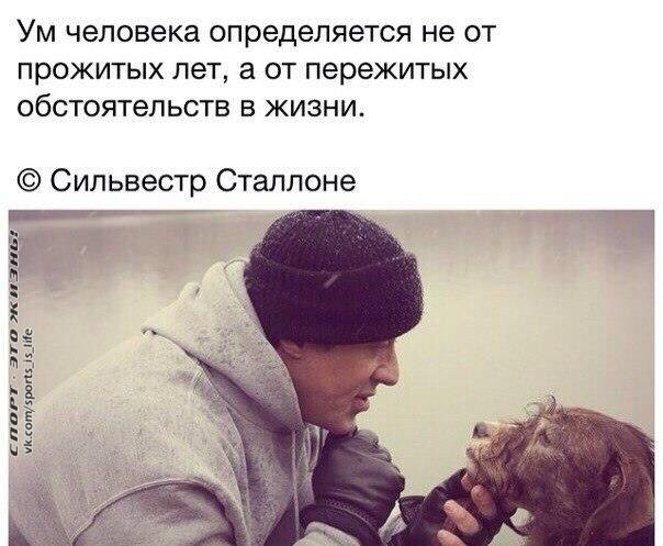  -   - 11  2015  08:00