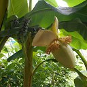 ������ ������!���������.. �� ������� ������� 2015��