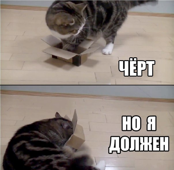       - 30  2015  20:03