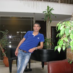 Kote, , 51 