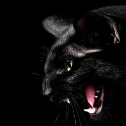 Oleg, ������-��-����, 50 ���