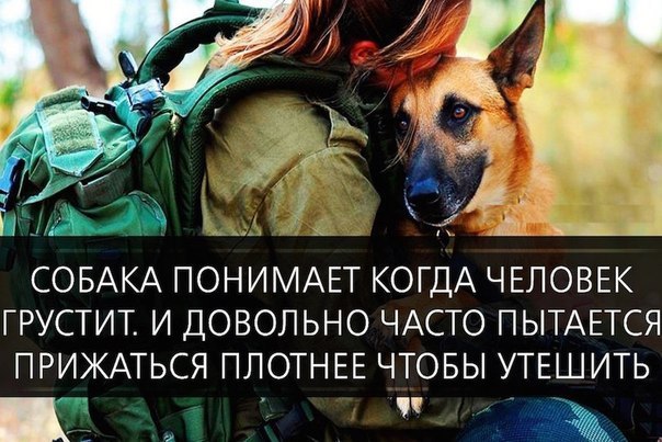 LIFE -  - 15  2015  06:31