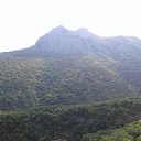 ���� �������, ������, 54 ���� - ��������� 23 �������� 2015 � ������ ���� ����������