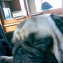 ���� ����, ���������, 60 ��� - ��������� 21 �������� 2015 � ������ ���� ����������