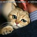 ���� Naida, ����� - ��������� 4 ��� 2015 � ������ ������ ��������