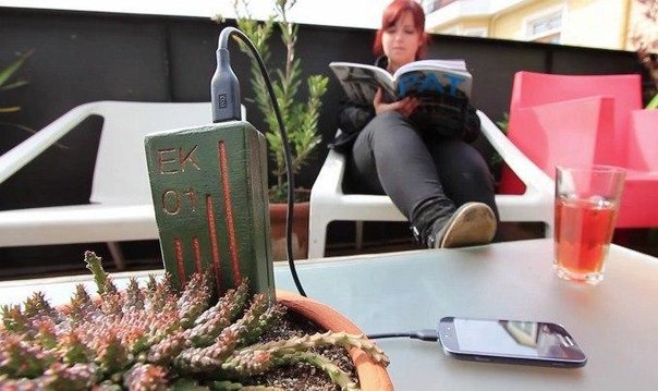 E-Kaia зарядит гаджеты с помощью растений.Как насчёт того, чтобы заряжать мобильные гаджеты не от ...