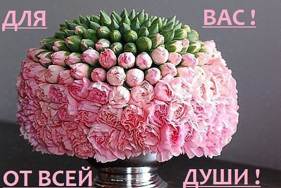 http://www.surprisse.com/muscards/view/2015/05/21/n2f4e4c77246u64be97s039e5nhne0dl.php
