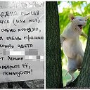���� �������, ����-�����������, 47 ��� - ��������� 27 ������ 2015 � ������ ������ ��������