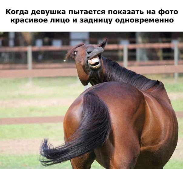 SportFeed - 6  2015  11:38