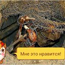 ���� ������, ���������, 49 ��� - ��������� 20 ���� 2015 � ������ �����