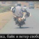���� �������, ������, 58 ��� - ��������� 2 �������� 2015 � ������ ���� ����������