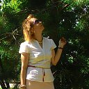 ���� �������, ���������, 51 ��� - ��������� 14 �������� 2015 � ������ ���� ����������