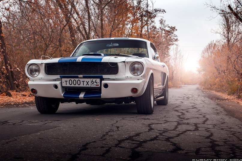 Ford Mustang Shelby GT350. - 7