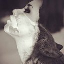 ���� �����, ������������ - ��������� 8 ������� 2015 � ������ ������ ��������