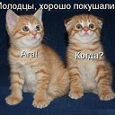 ���� �����, ���������, 43 ���� - ��������� 8 ��� 2015 � ������ ��������....�