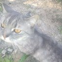 ���� �����, �����������, 45 ��� - ��������� 18 ��� 2015 � ������ ������ ��������