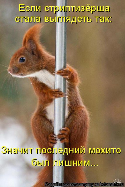   - 10  2015  15:59
