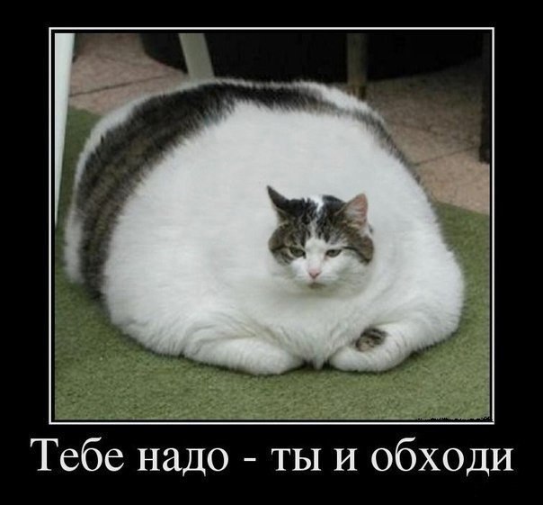 ������������ ���� - 24 ��� 2015 � 11:58