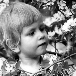 ������, ����������, 46 ���