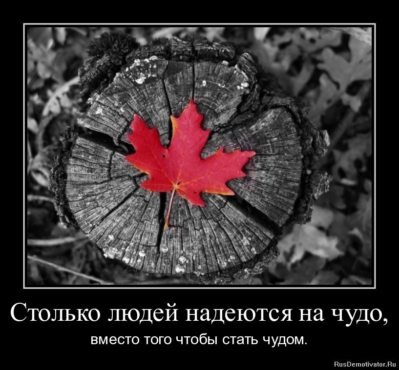   - 21  2015  11:22