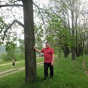  ,  , 67  -  26  2015    2015