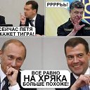 ���� �����, �������� - ��������� 7 ��� 2015 � ������ ������ ��������