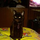 ���� ��������, �������, 47 ��� - ��������� 9 �������� 2015 � ������ ���� ����������