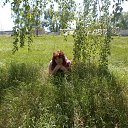 ���� ��������, ��������, 49 ��� - ��������� 23 �������� 2015 � ������ ���� ����������