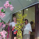 ���� �����, ������� - ��������� 2 ������� 2015 � ������ �2015 � �-� �������