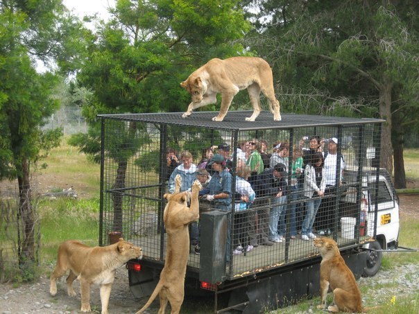    Orana Wildlife Park,  .