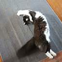  , -, 54  -  12  2015   