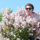 ���� ������, ������, 43 ���� - ��������� 4 ���� 2015 � ������ ����� � ��������