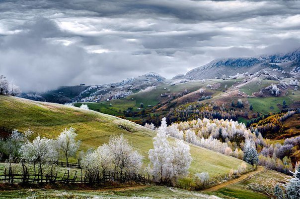    National Geographic      ... - 8
