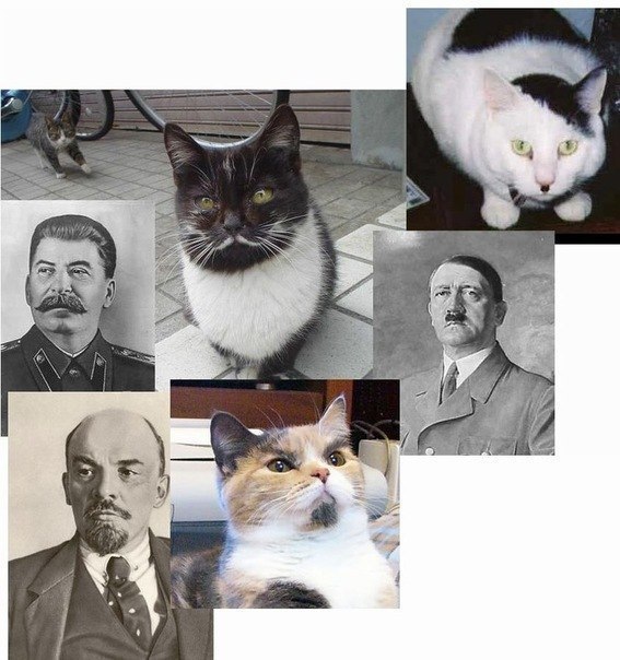 -, -, - :D