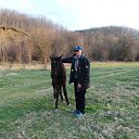  Igor, , 54  -  19  2015   2015