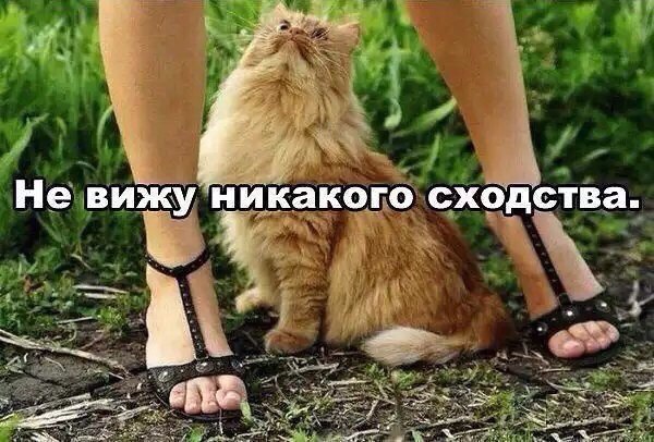  - 20  2015  14:30