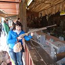 ���� ����, �����������, 60 ��� - ��������� 15 ��� 2015 � ������ ���������.�����,15�.�