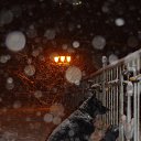  , , 45  -  3  2015    ...