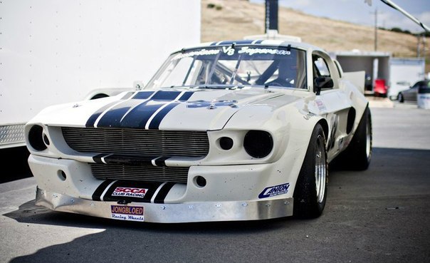 Ford Mustang Shelby GT 500 1967.  https://fotostrana.ru/away?to=/sl/b2v ...