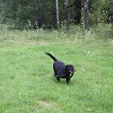 ���� �����, ������ �������� - ��������� 16 ������� 2015 � ������ ���� ����������