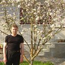  , -, 57  -  24  2015    