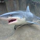 ���� ���������, �����������, 48 ��� - ��������� 30 ������� 2015 � ������ ���� ����������