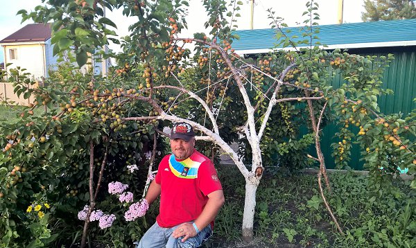 : SERGIO, 52 ,     