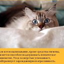  ,  -  10  2015    