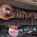 ���� �������, ��������� - ��������� 18 ��� 2015 � ������ ������ ��������