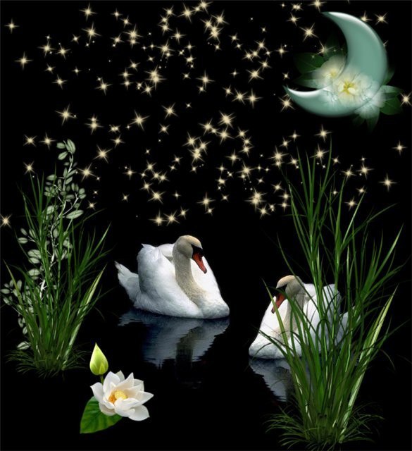 Вячеслав - 29 августа 2015 в 12:46