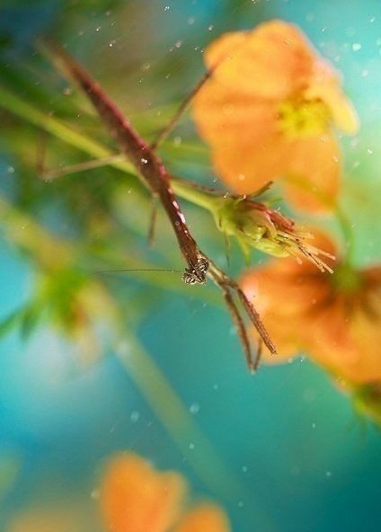     !    ,      ,   ... - 4